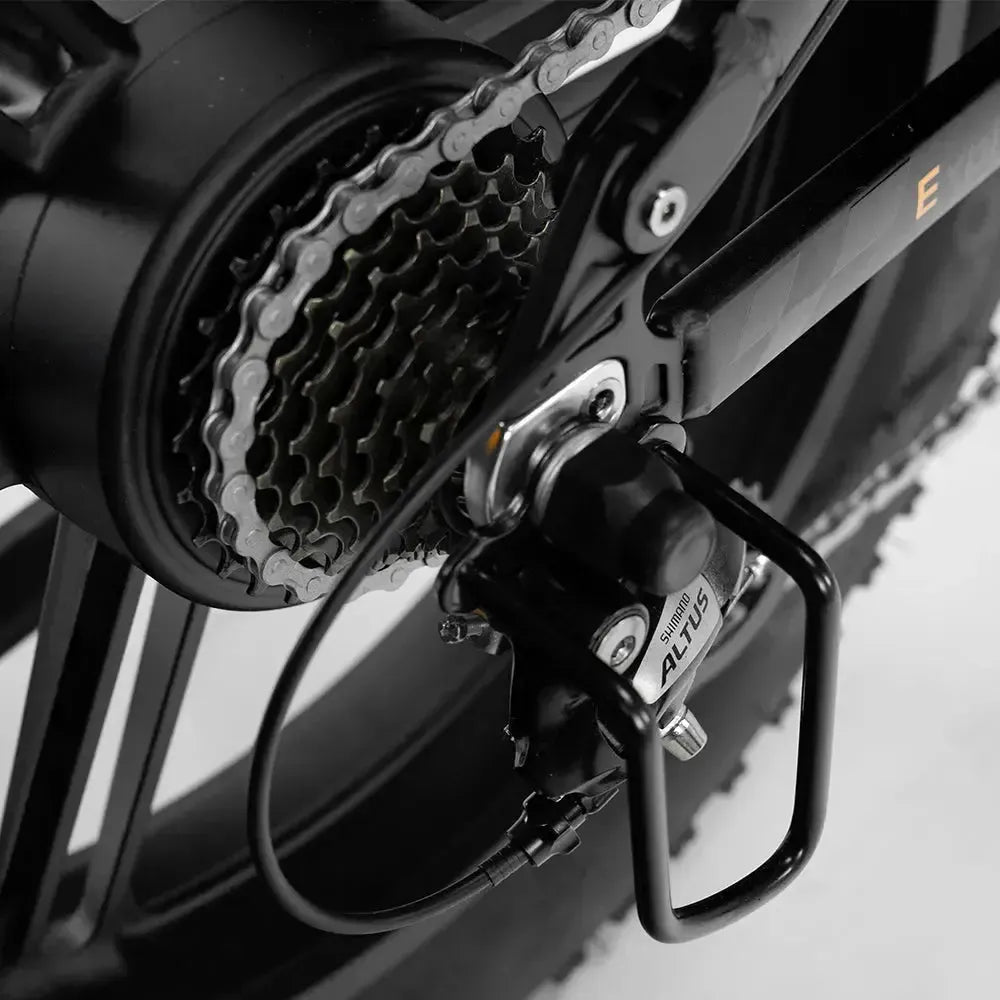 ENGWE Engine Pro 2.0 - Negro