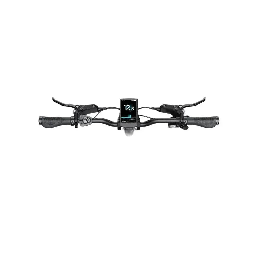 ENGWE L20 3.0 Pro - Champán