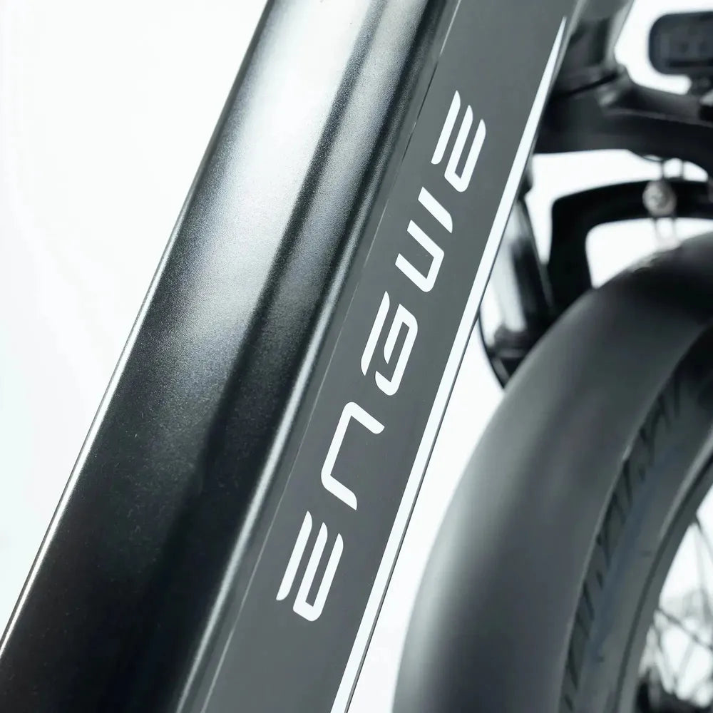 ENGWE L20 3.0 Pro - Negro