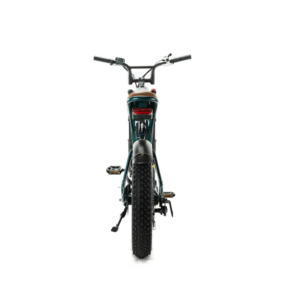 ENGWE M20 - Doble Batería - Verde