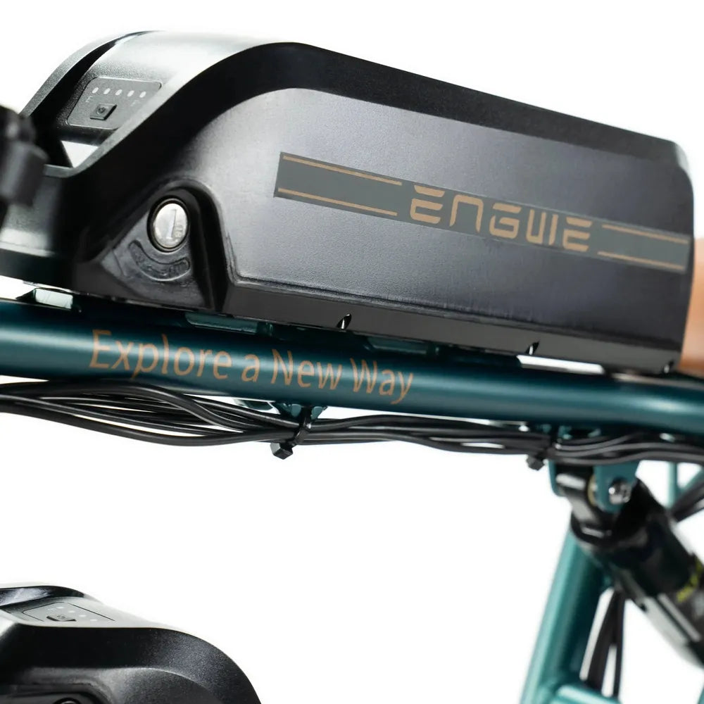 ENGWE M20 - Doble Batería - Verde