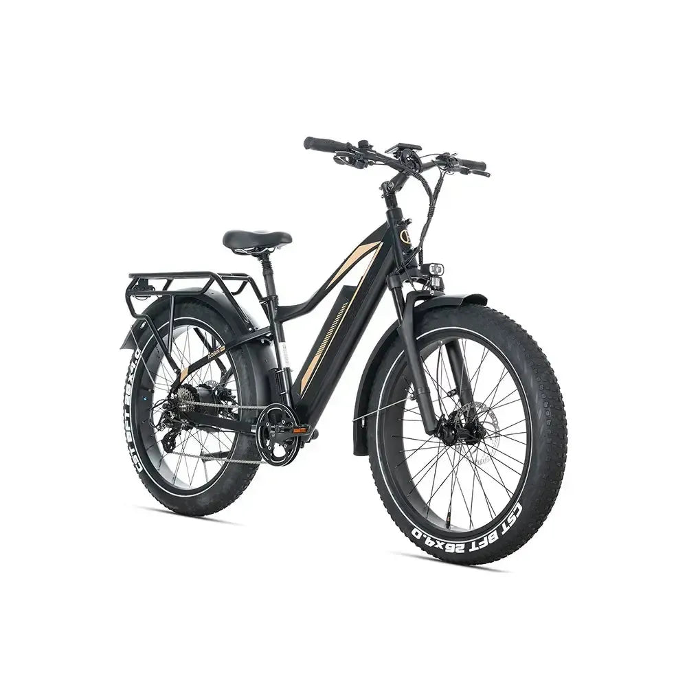 JOBOBIKE Robin Pro - Negro-dorado
