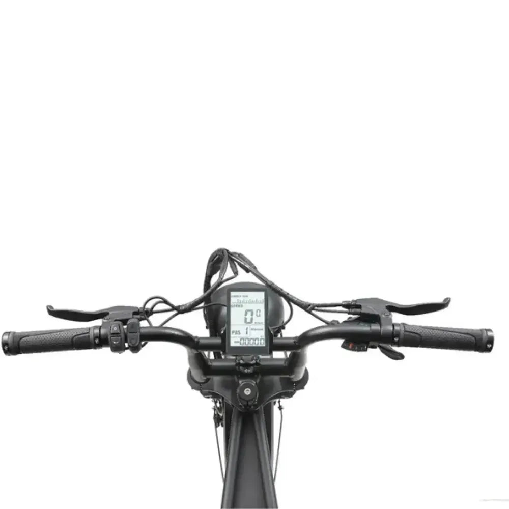 ApeRyder A10 Pro - Negro