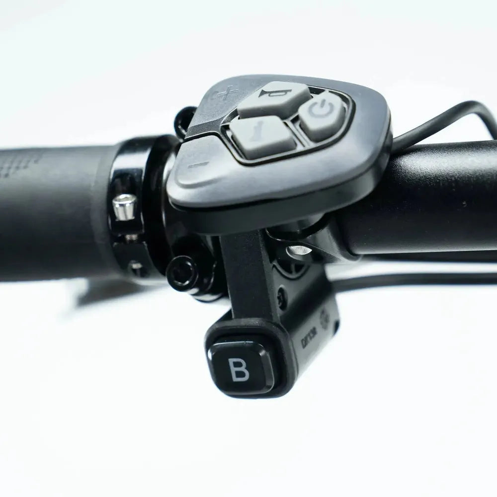 ENGWE L20 3.0 Pro - Negro
