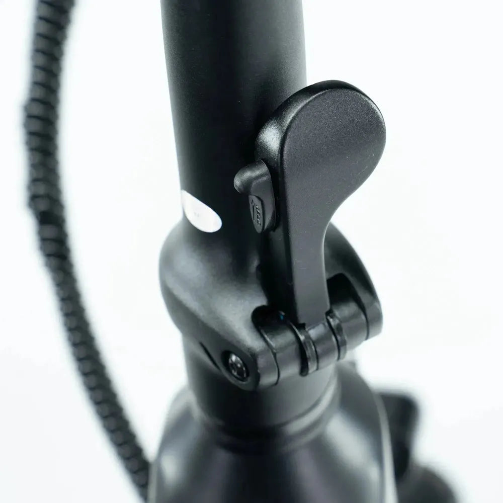 ENGWE L20 3.0 Pro - Negro