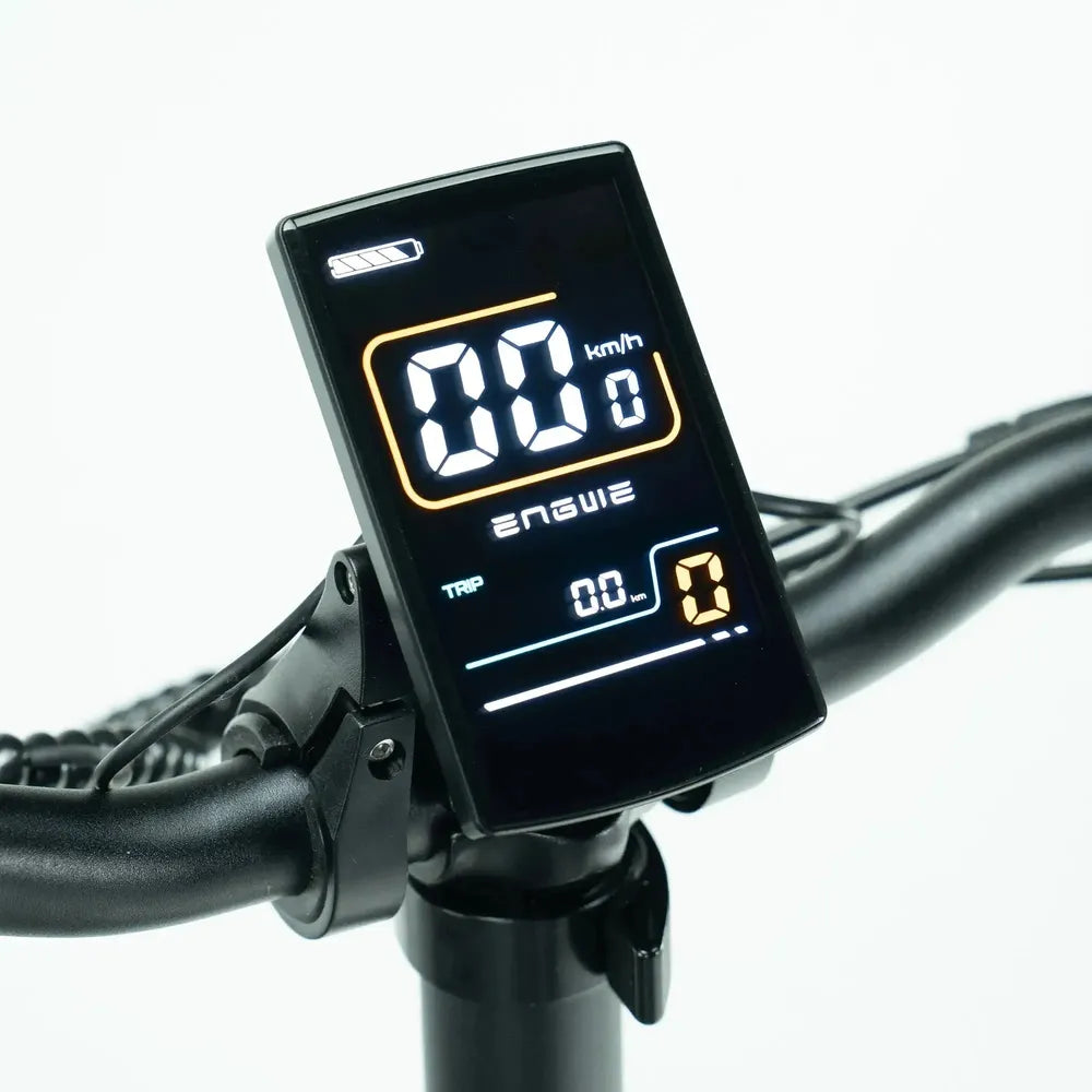 ENGWE L20 3.0 Pro - Negro