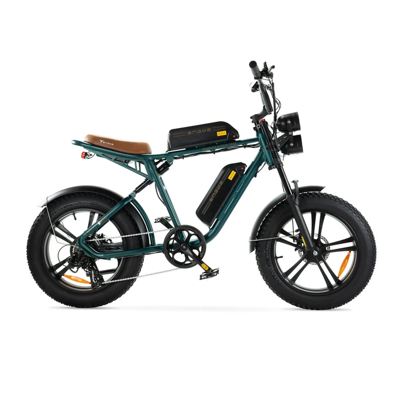 ENGWE M20 - Doble Batería - Verde