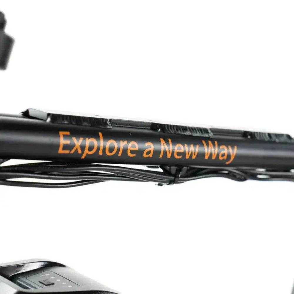 ENGWE M20 - Negro