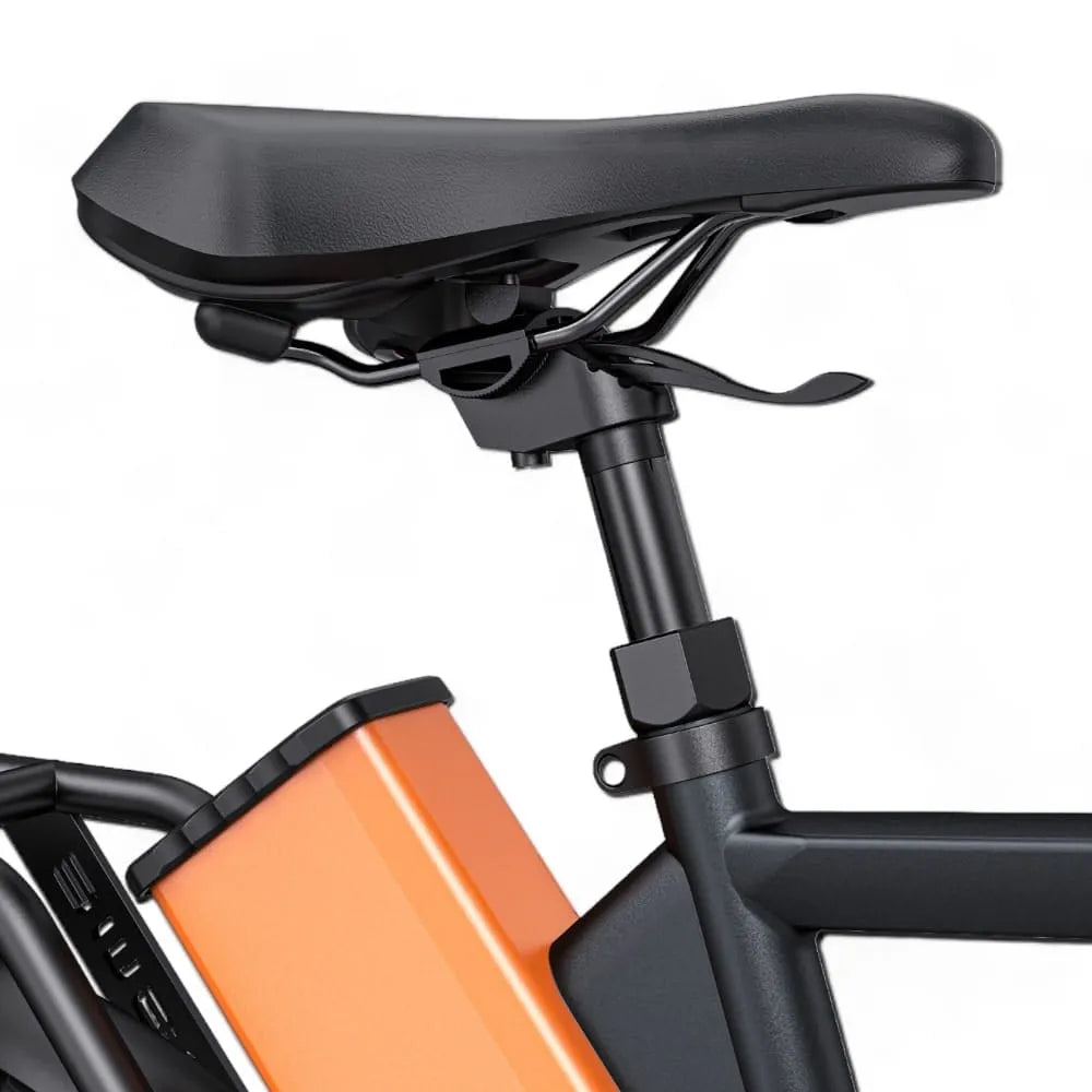 ENGWE P275 Pro - Negro