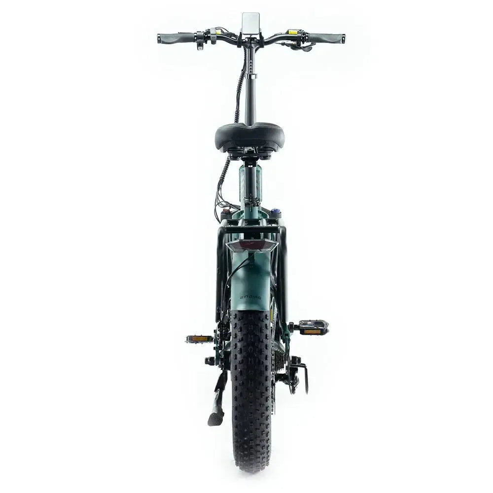 Engwe Engine Pro 2.0 - Bicicleta eléctrica plegable - Verde