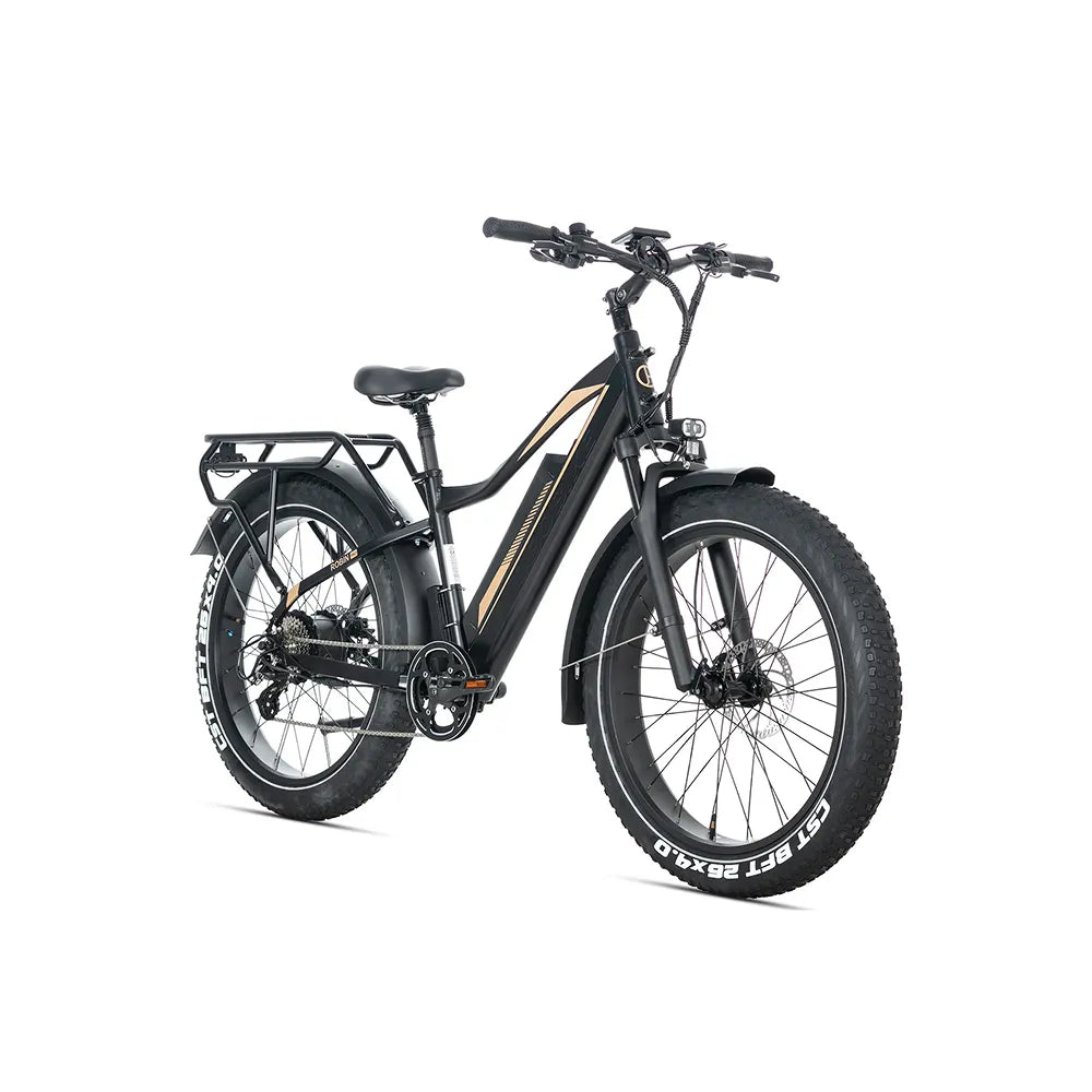 JOBOBIKE Robin Pro - Negro-dorado