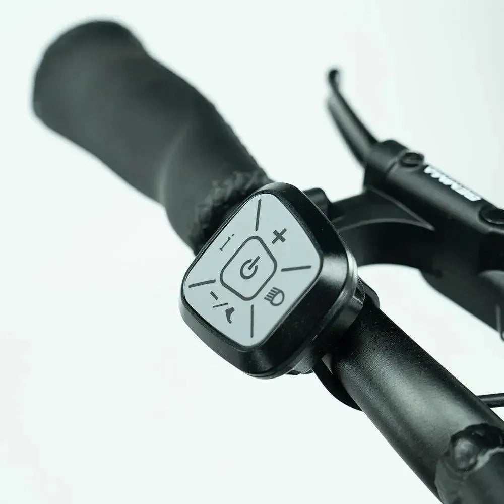 JOBOBIKE Transer - Longtail - Gris Plateado