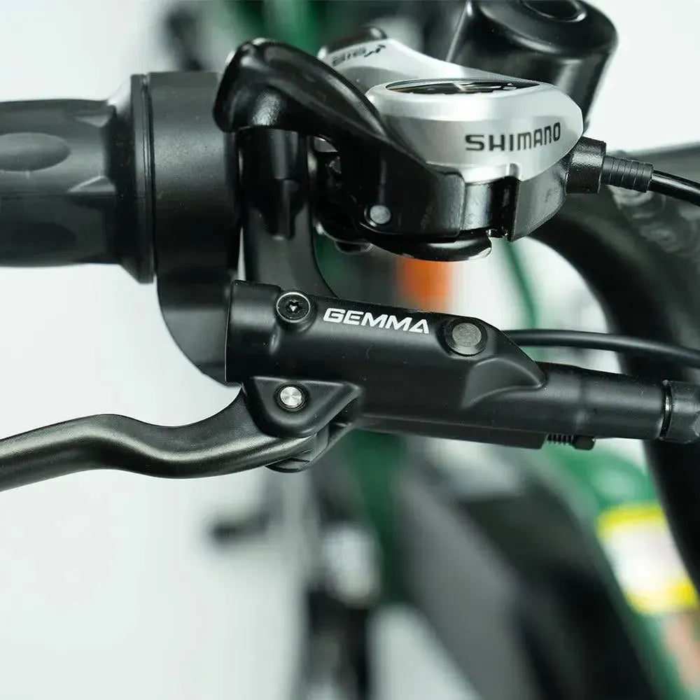 JOBOBIKE Transer - Longtail - Gris Plateado