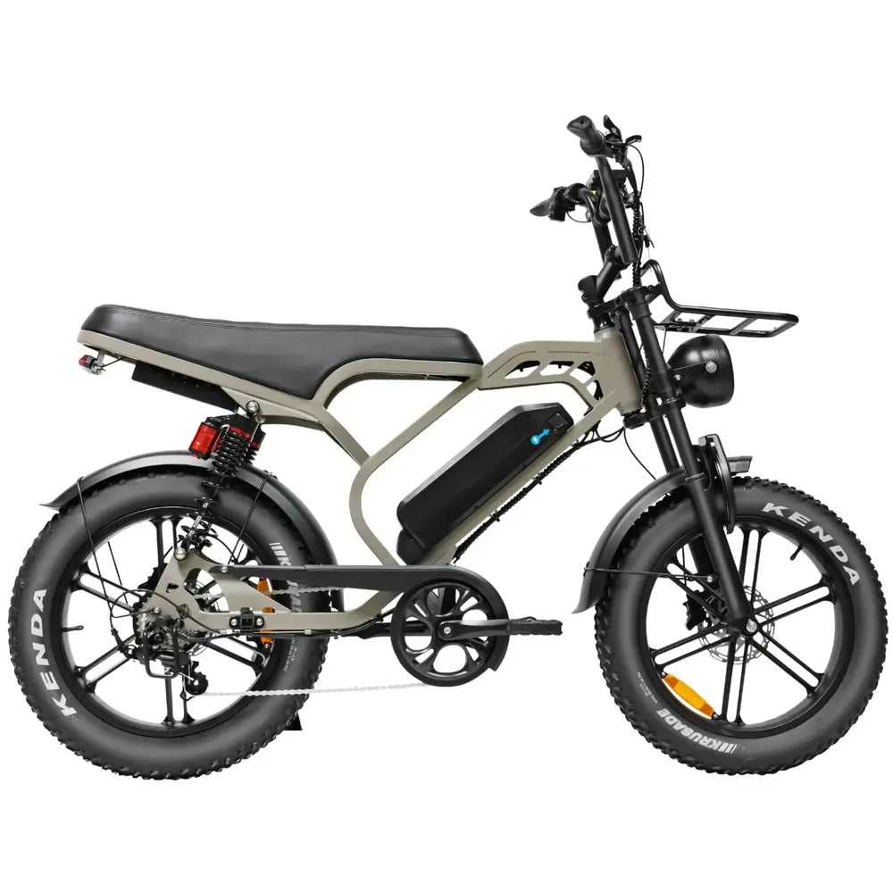 V20 Limitado - Bruin